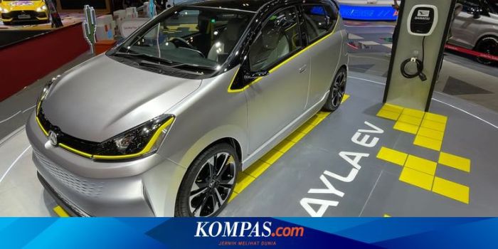 Mobil Merek Denza Diluncurkan